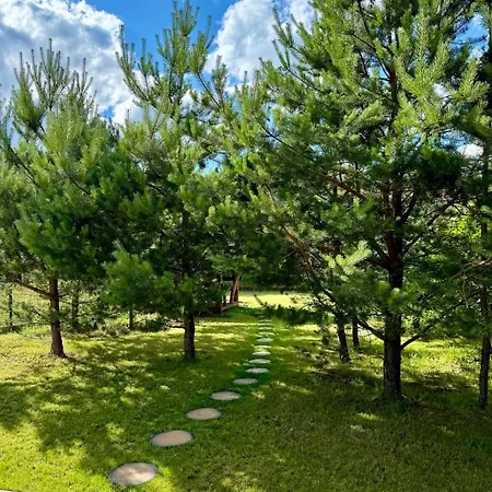 Holiday home Mazurska Sarenka Wiartel